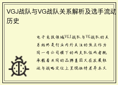 VGJ战队与VG战队关系解析及选手流动历史